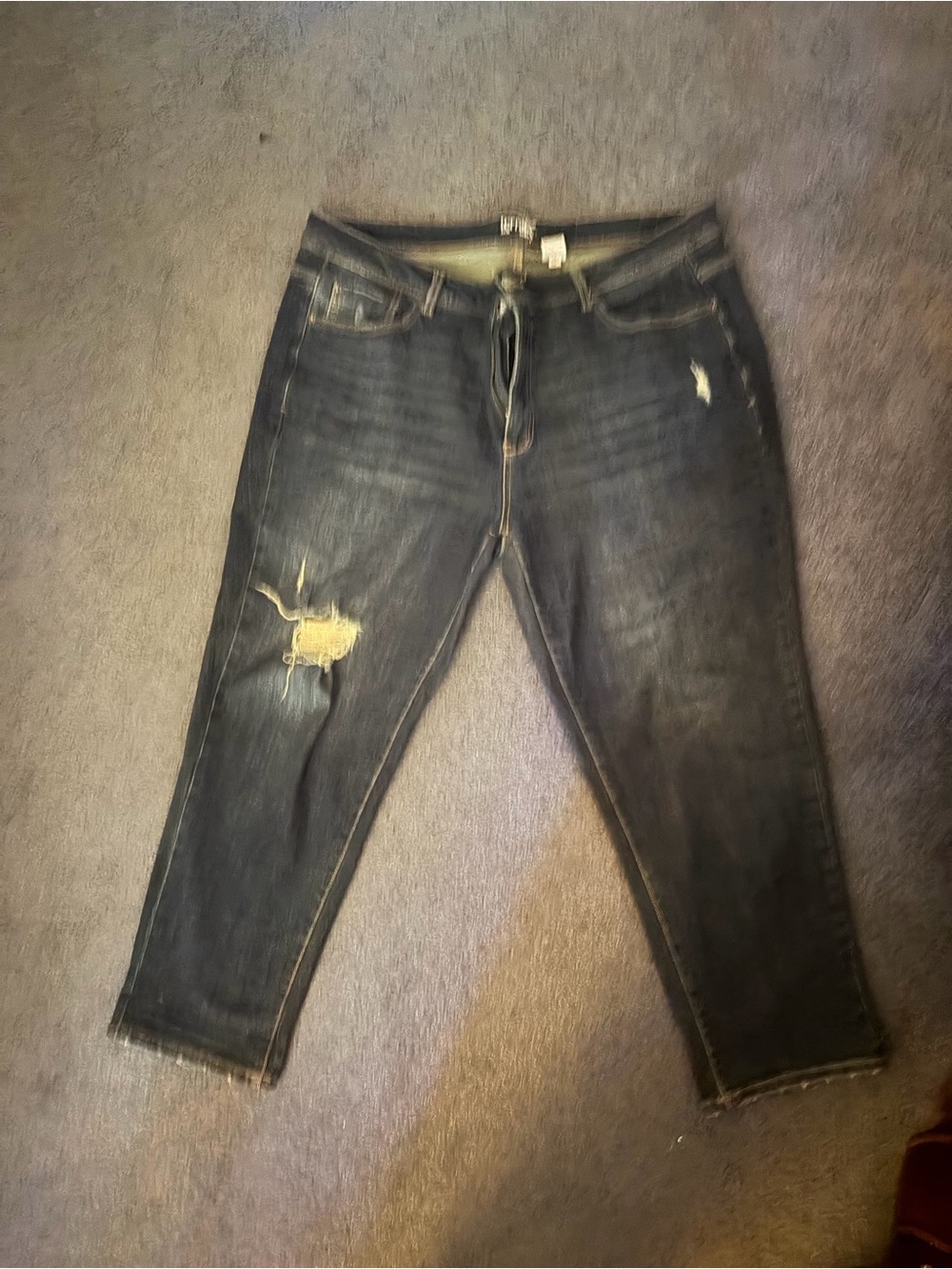 Gently used Terra and sky 20 W jeans